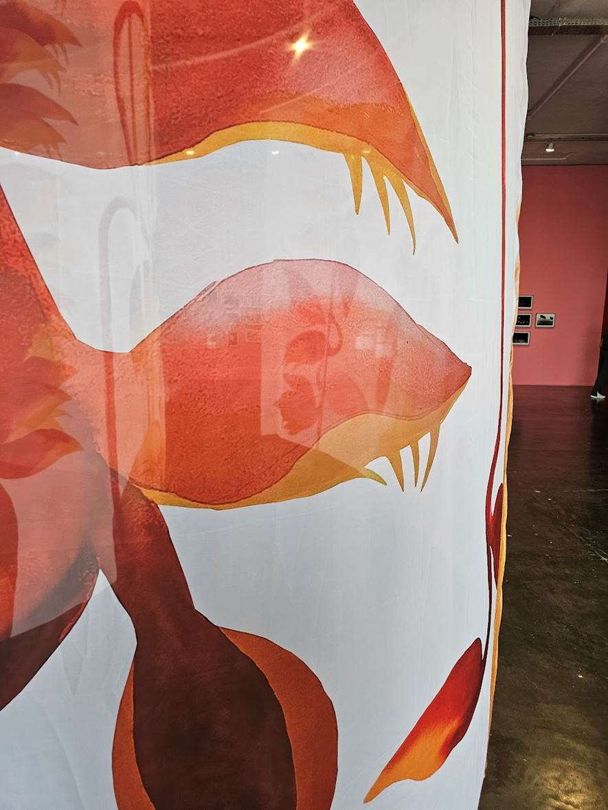 O pano através do qual se vê um pano. Parece até vidro, é delicado, flui.